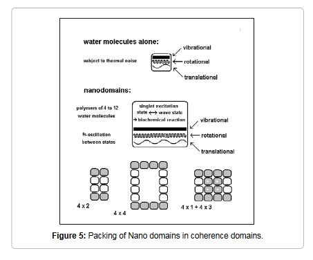 coherent domains