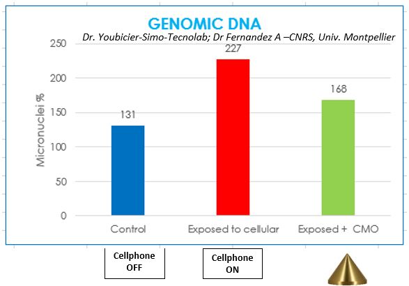 GENOMIC DNA